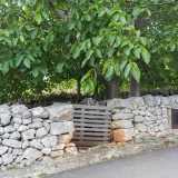 Protetto dall'onnipresente muretto a secco c'� anche un rigoglioso frutteto